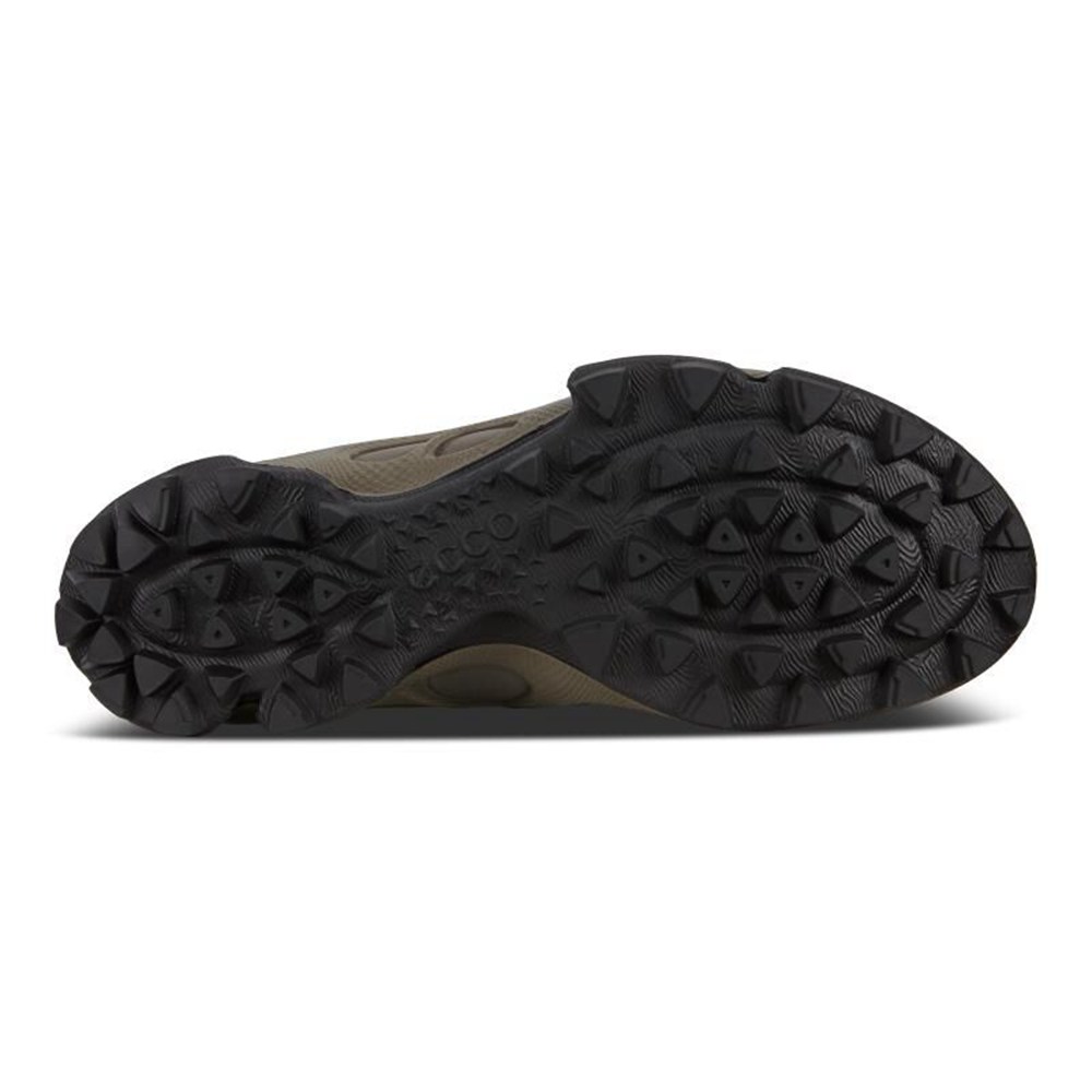 Mens Hiking Shoes - ECCO Biom C-Trail Mid Gtx - Black/Grey - 6401XVPKC